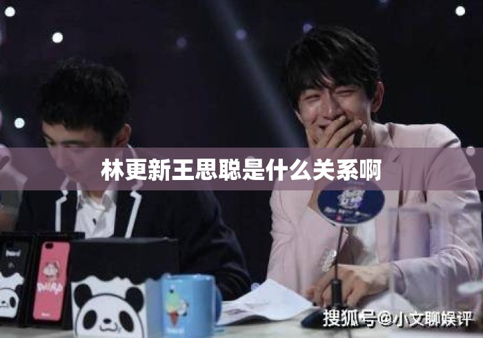 林更新王思聪是什么关系啊