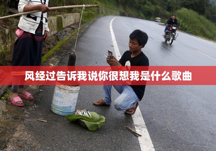 风经过告诉我说你很想我是什么歌曲