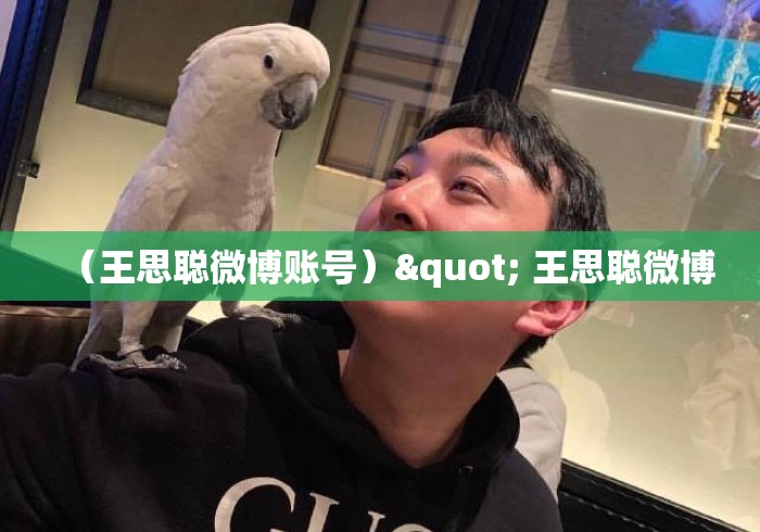 （王思聪微博账号）" 王思聪微博