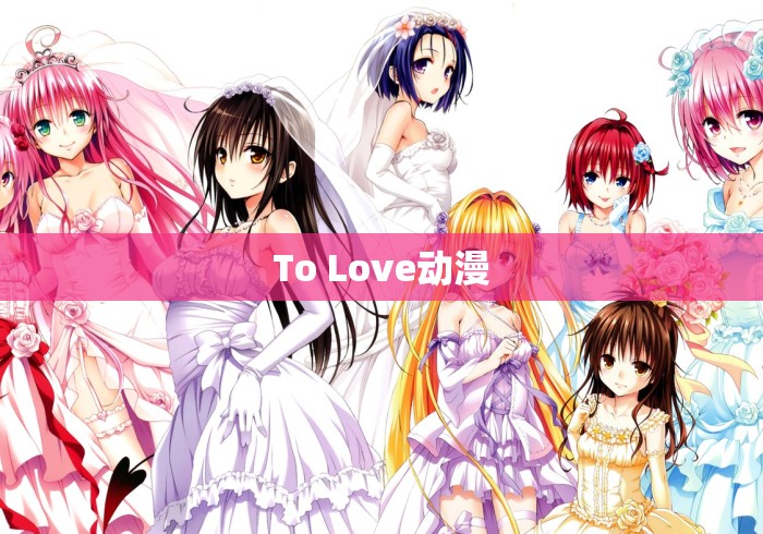 To Love动漫 To Love动漫