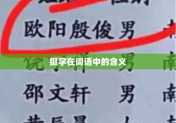 挺字在词语中的含义