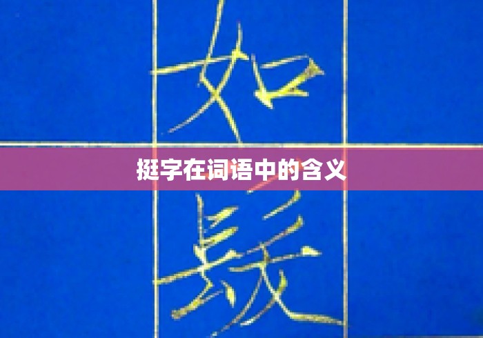 挺字在词语中的含义 挺字在词语中的含义