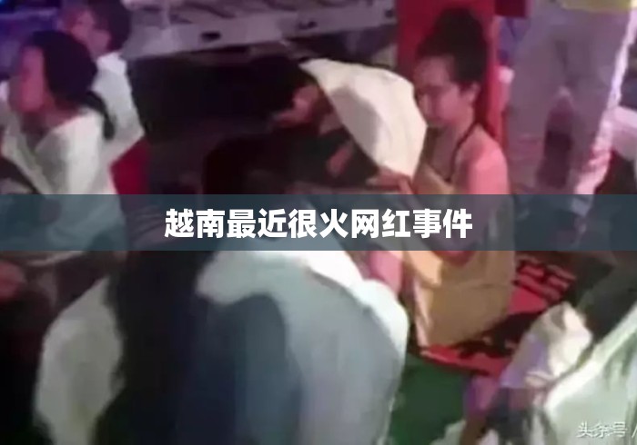 越南最近很火网红事件