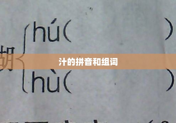 汁的拼音和组词