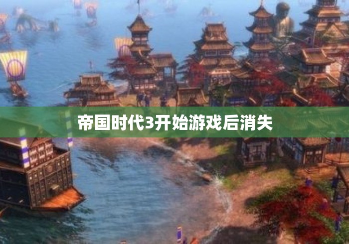 帝国时代3开始游戏后消失 帝国时代3开始游戏后消失