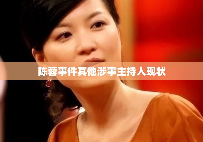 陈蓉事件其他涉事主持人现状