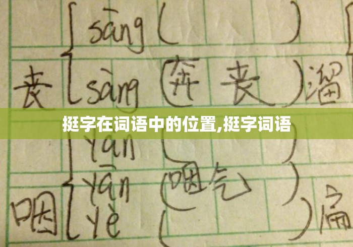 挺字在词语中的位置,挺字词语