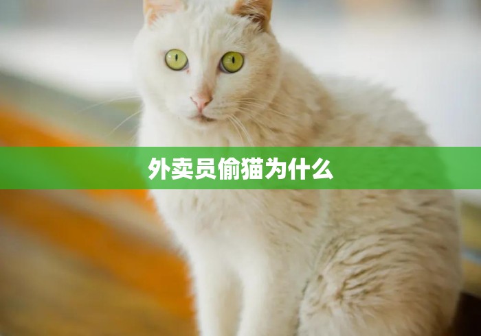 外卖员偷猫为什么 外卖员偷猫为什么