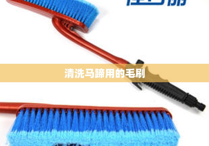 清洗马蹄用的毛刷