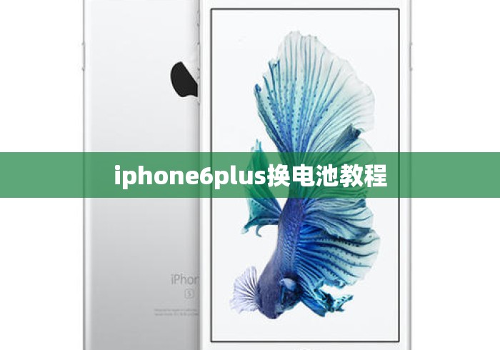 iphone6plus换电池教程