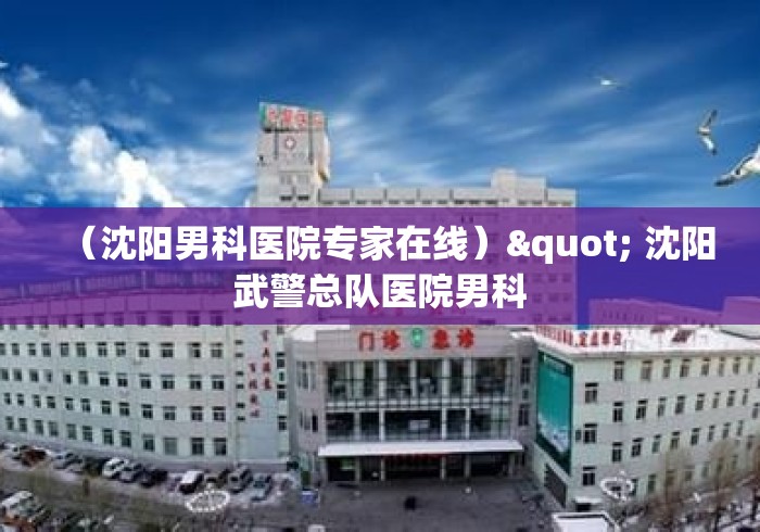 （沈阳男科医院专家在线）" 沈阳武警总队医院男科