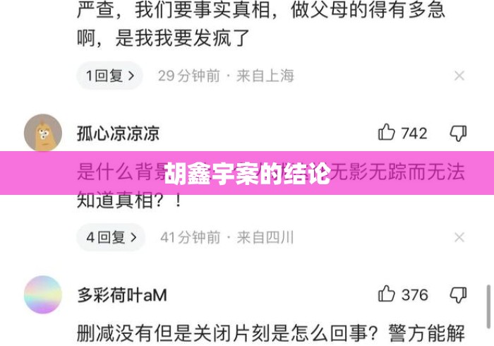 胡鑫宇案的结论