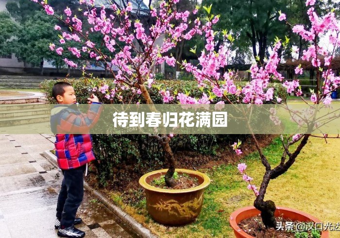 待到春归花满园