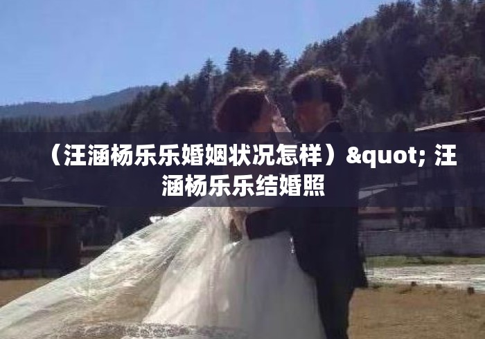 (汪涵杨乐乐婚姻状况怎样)" 汪涵杨乐乐结婚照 (汪涵杨乐乐婚姻状况怎样)" 汪涵杨乐乐结婚照