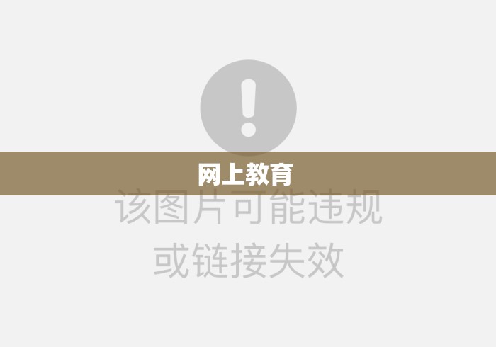 网上教育 网上教育