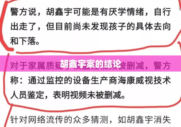 胡鑫宇案的结论