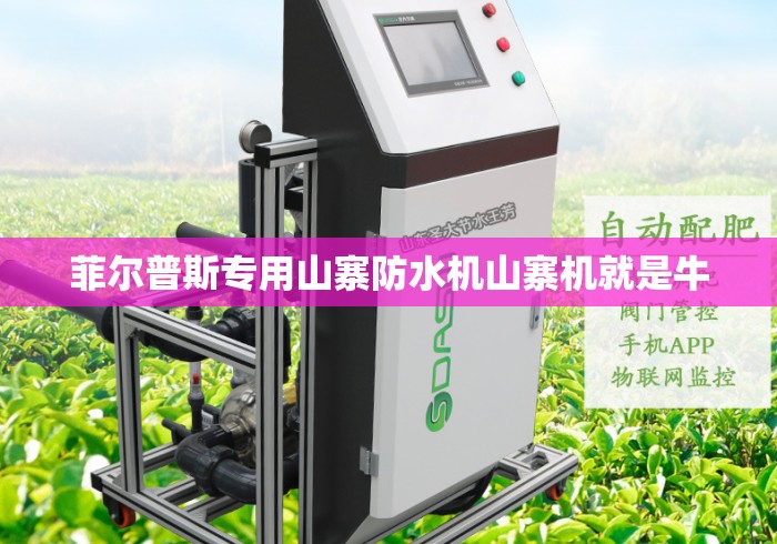 菲尔普斯专用山寨防水机山寨机就是牛