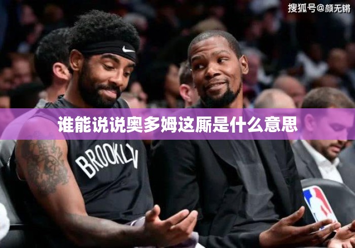 谁能说说奥多姆这厮是什么意思 谁能说说奥多姆这厮是什么意思