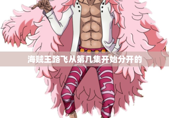 海贼王路飞从第几集开始分开的