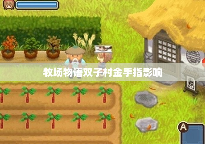 牧场物语双子村金手指影响