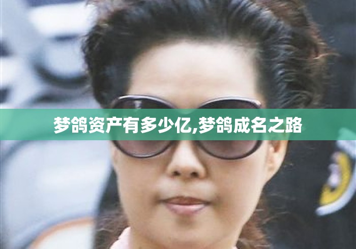 梦鸽资产有多少亿,梦鸽成名之路