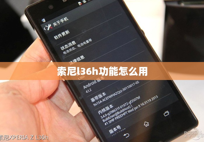 索尼l36h功能怎么用