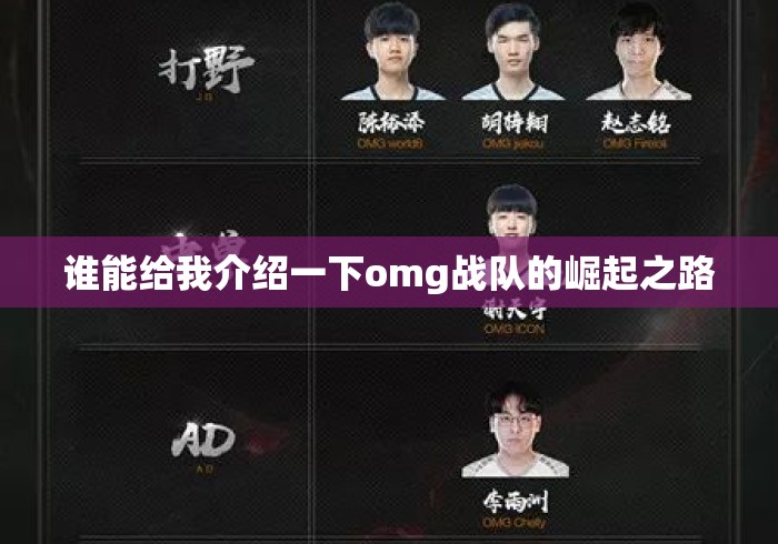 谁能给我介绍一下omg战队的崛起之路