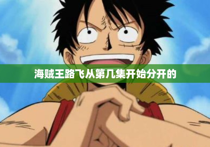 海贼王路飞从第几集开始分开的 海贼王路飞从第几集开始分开的