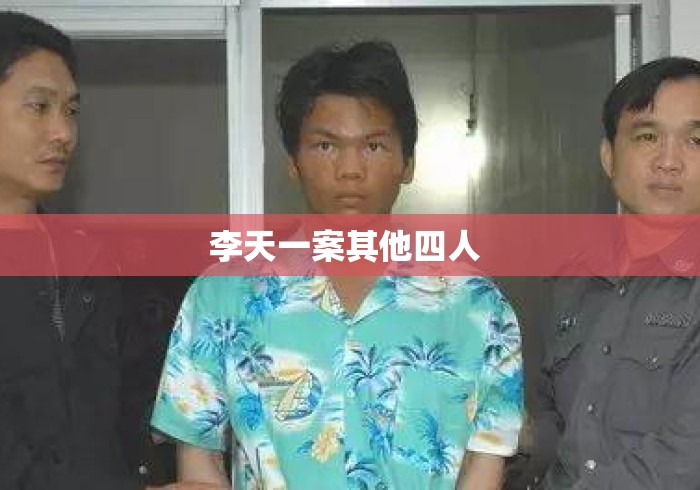李天一案其他四人 