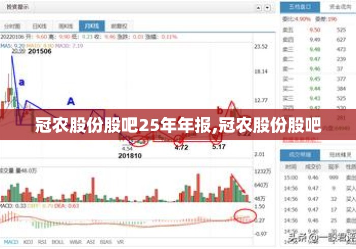 冠农股份股吧25年年报,冠农股份股吧 冠农股份股吧25年年报,冠农股份股吧