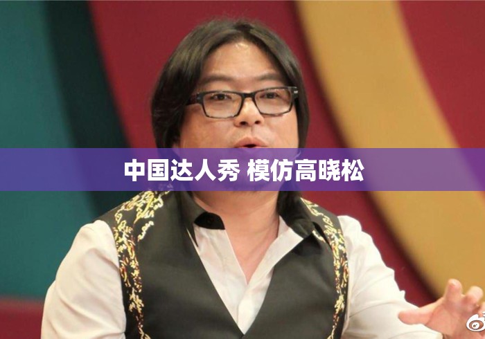中国达人秀 模仿高晓松