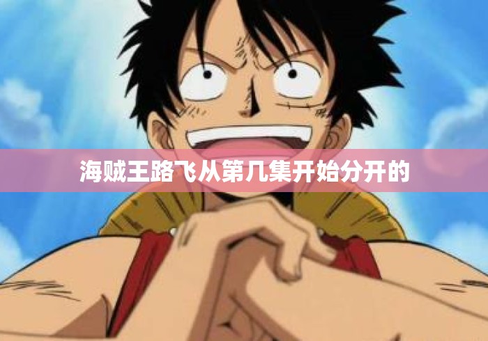 海贼王路飞从第几集开始分开的 海贼王路飞从第几集开始分开的
