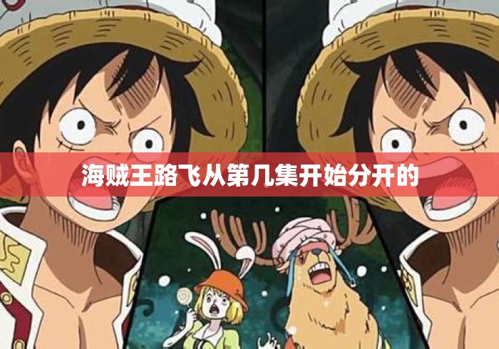 海贼王路飞从第几集开始分开的 海贼王路飞从第几集开始分开的