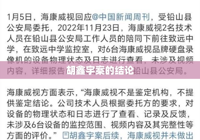 胡鑫宇案的结论