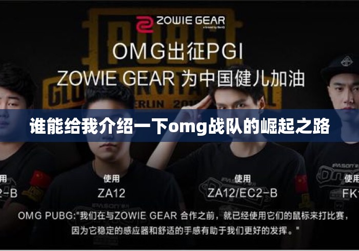 谁能给我介绍一下omg战队的崛起之路 谁能给我介绍一下omg战队的崛起之路