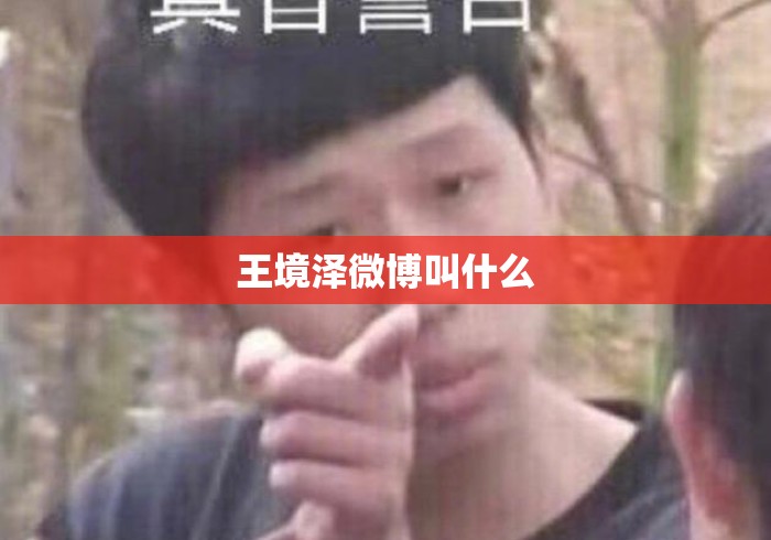 王境泽微博叫什么 王境泽微博叫什么