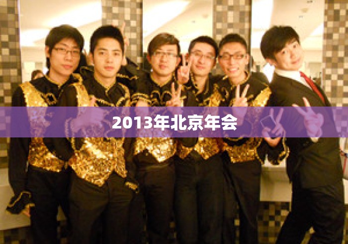 2013年北京年会