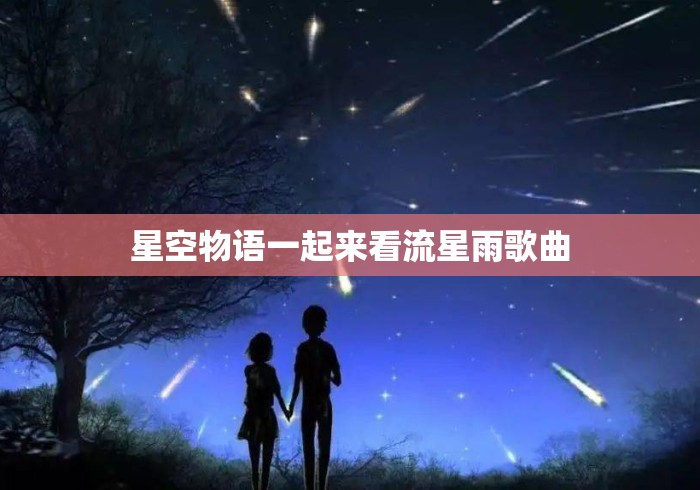 星空物语一起来看流星雨歌曲