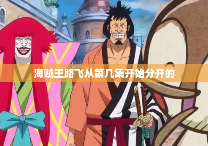 海贼王路飞从第几集开始分开的