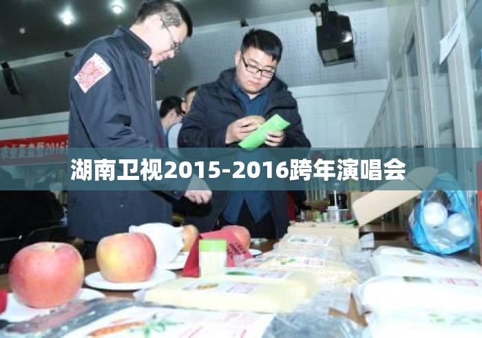 湖南卫视2015-2016跨年演唱会 