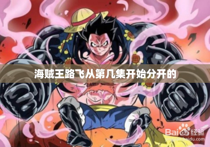 海贼王路飞从第几集开始分开的