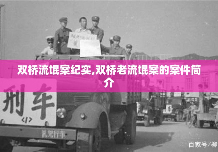 双桥流氓案纪实,双桥老流氓案的案件简介