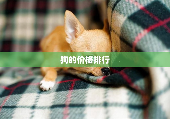 狗的价格排行