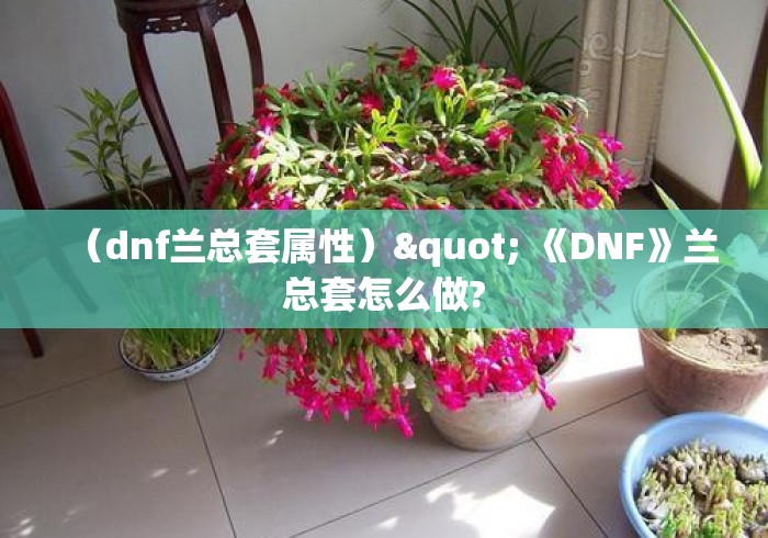 (dnf兰总套属性)" 《DNF》兰总套怎么做? (dnf兰总套属性)" 《DNF》兰总套怎么做?