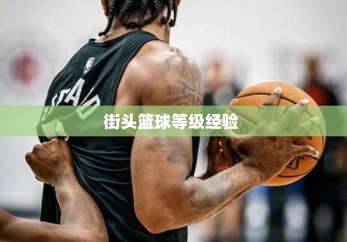 街头篮球等级经验 