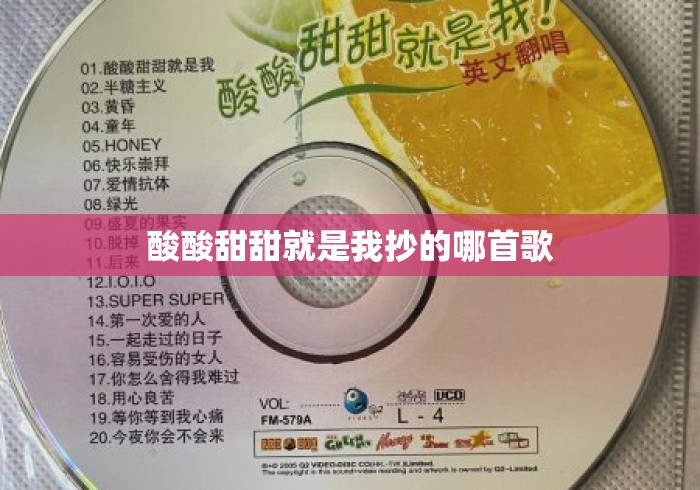 酸酸甜甜就是我抄的哪首歌