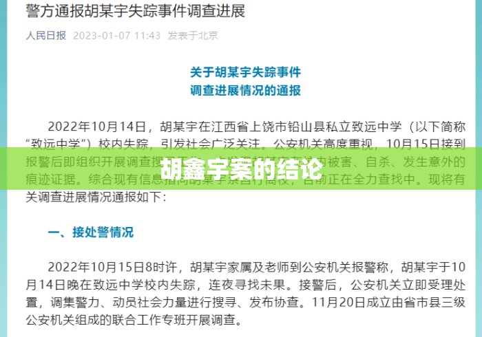 胡鑫宇案的结论