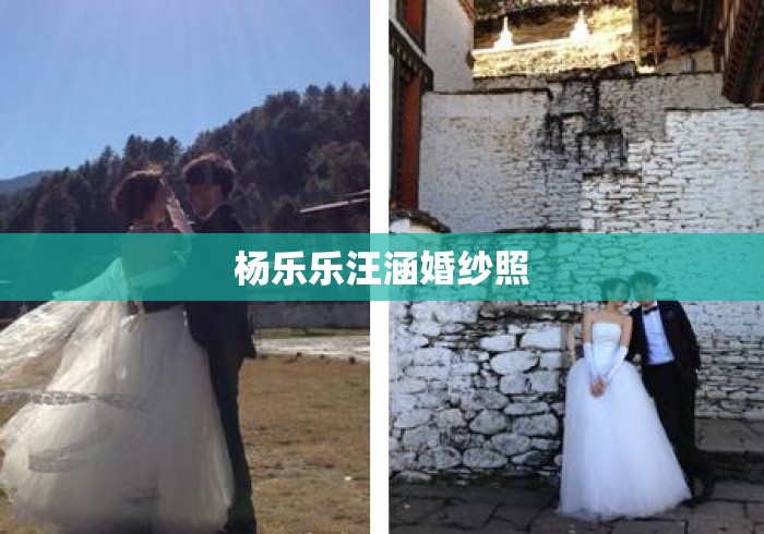 杨乐乐汪涵婚纱照