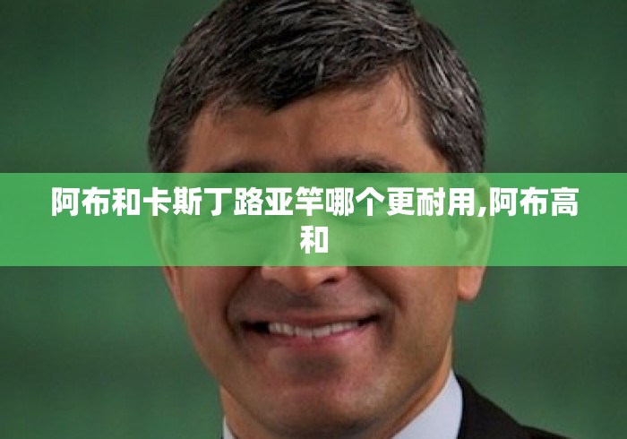 阿布和卡斯丁路亚竿哪个更耐用,阿布高和 阿布和卡斯丁路亚竿哪个更耐用,阿布高和
