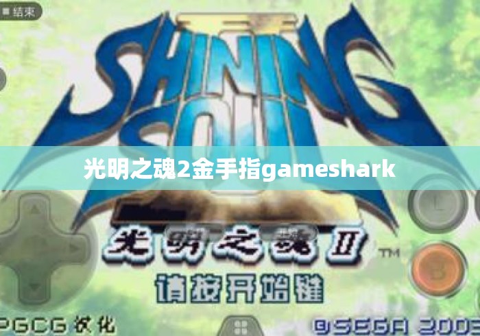 光明之魂2金手指gameshark 光明之魂2金手指gameshark